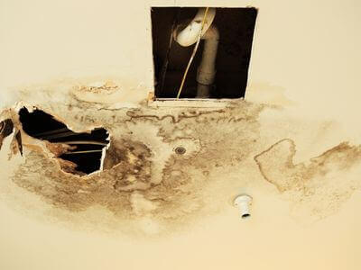 Professional black mold removal services in Bethany - Black Mold Removal Bethany